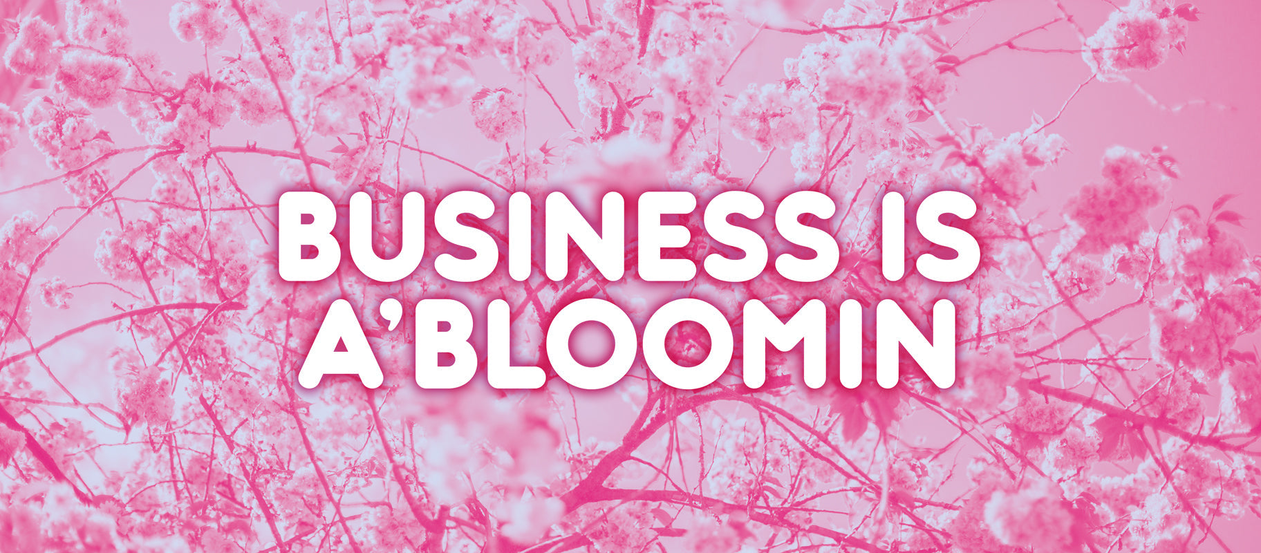 Business Is a'Bloomin
