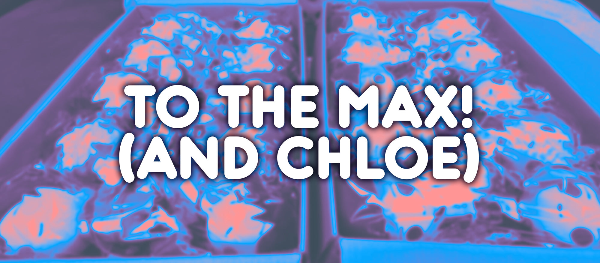 To The Max! (and Chloe)