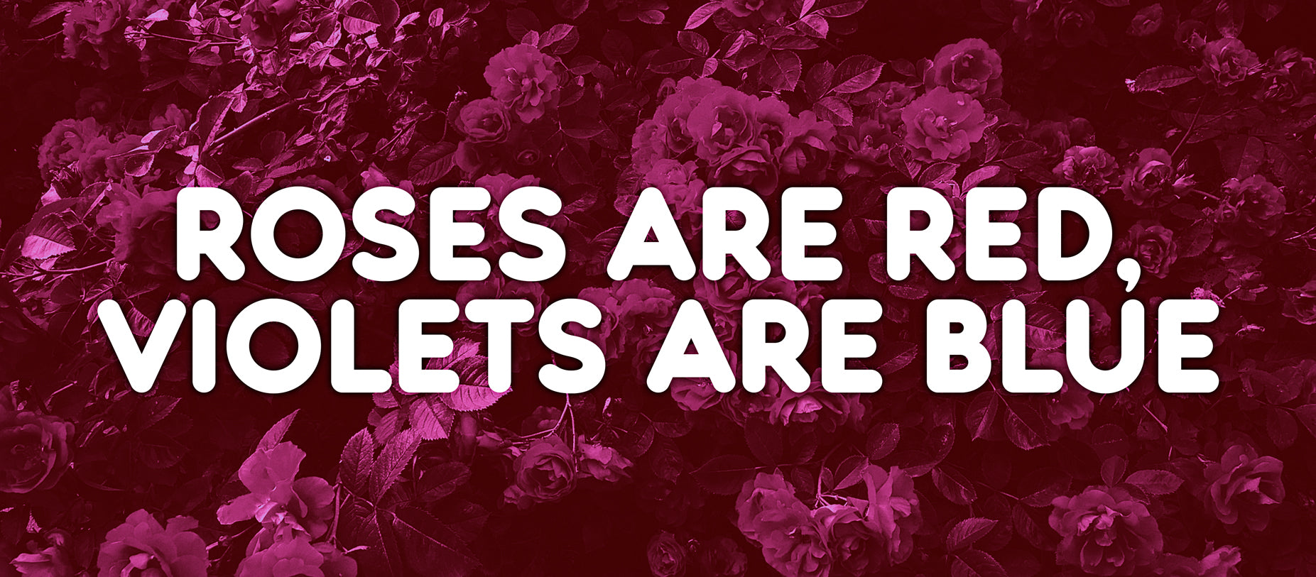 Roses Are Red Violets Are Blue Roses Are Red Violets Are Blue